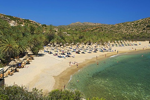 Palm beach Vai, Crete, Greece, Europe