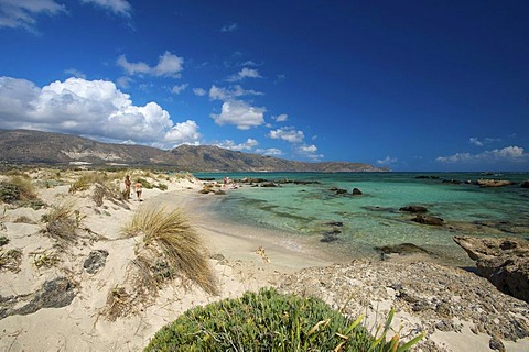 Elafonisi beach, south-west coast, Crete, Greece, Europe