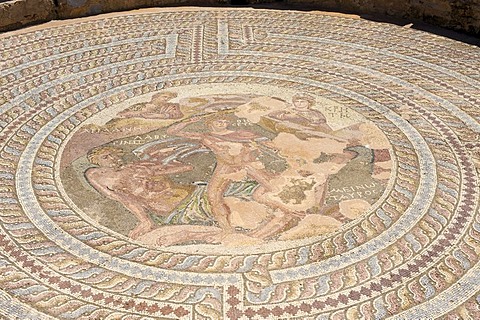 Mosaic in the archaeological excavation site in Pafos, Paphos, Southern Cyprus, Cyprus