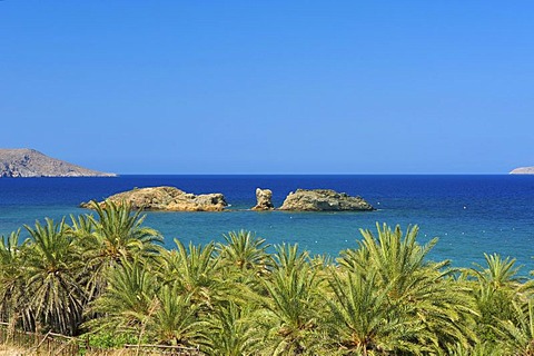 Palm beach of Vai, Crete, Greece, Europe