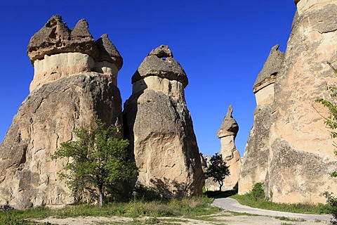 Fairy chimneys, rock formations of tufa, Pasabag Valley, Goreme, Cappadocia, central Anatolia, Turkey