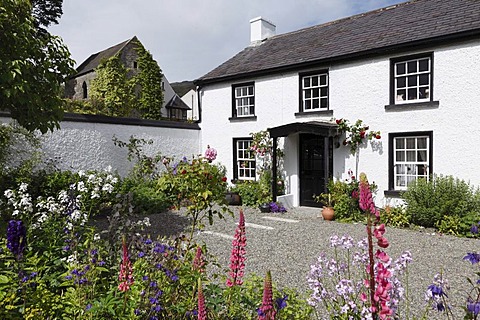 House with garden full of flowers, Carlingford, Cooley Peninsula, County Louth, Ireland, Europe