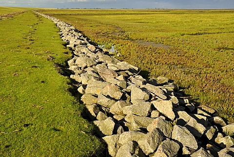 Riprap as a costal protection measure, Norderfriedrichskoog tidal flats, Nationalpark Schleswig-Holsteinisches Wattenmeer, Schleswig-Holstein Wadden Sea National Park, Eiderstedt peninsula, North Friesland region, Schleswig-Holstein, Germany, Europe