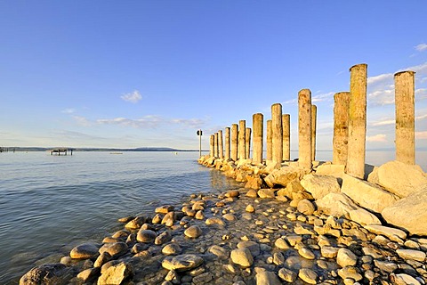 Breakwaters on the shore of Lake Constance, Altnau, Canton Thurgau, Switzerland, Europe