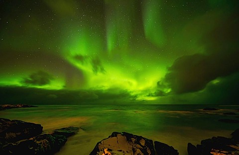 Polar lights (Aurora borealis) on the rocky coast of Hov, Gimsoy island, Lofoten, Norway, Europe