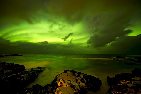 Polar lights (Aurora borealis) on the rocky coast of Hov, Gimsoy island, Lofoten, Norway, Europe