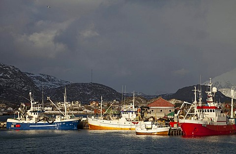 Ships at the port in the evening light, Ballstad, Vestvagoy island, Lofoten, Norway, Europe