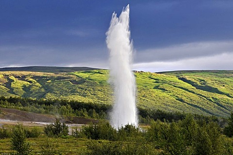 Strokkur geyser, Geysir, Haukadalur valleys, Iceland, Europe