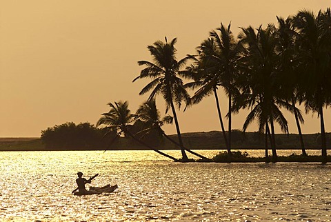 Boat on the backwaters, Poovar, Malabar Coast, Kerala, South India, India, Asia