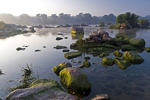 Betwa River landscape, Orchha, Madhya Pradesh, North India, India, Asia