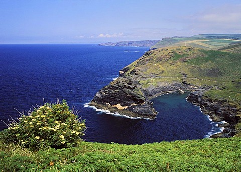 Cliffs, Boscastle, Cornwall, England, United Kingdom, Europe