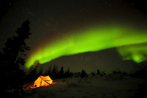 Northern Lights, aurora borealis above the Arctic, Hudson Bay, Manitoba, Canada