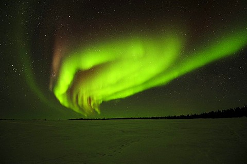 Northern Lights, aurora borealis above the Arctic, Hudson Bay, Manitoba, Canada