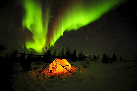 Northern Lights, aurora borealis above the Arctic, Hudson Bay, Manitoba, Canada