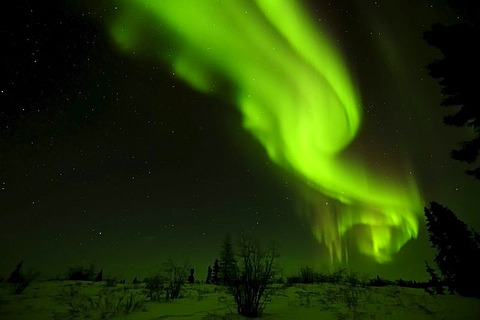 Northern Lights, aurora borealis above the Arctic, Hudson Bay, Manitoba, Canada