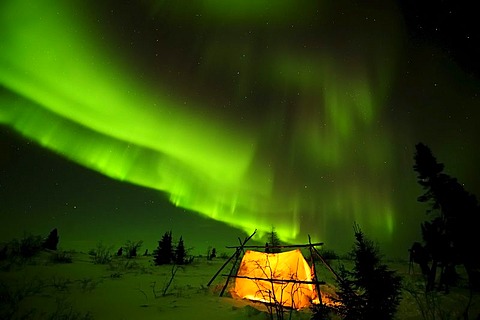 Northern Lights, aurora borealis above the Arctic, Hudson Bay, Manitoba, Canada