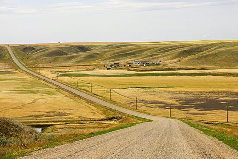 Secluded farmhouse on a lonely road through the prairie, Alberta, Canada