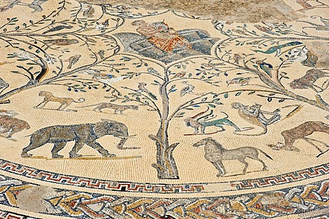 Ancient floor mosaic depicting Orpheus surrounded by animals, Roman ruins, ancient residential city of Volubilis, northern Morocco, Africa