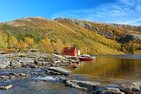 Fishing cabins by Valnesvatnet Lake, Nordland, Norway, Scandinavia, Europe