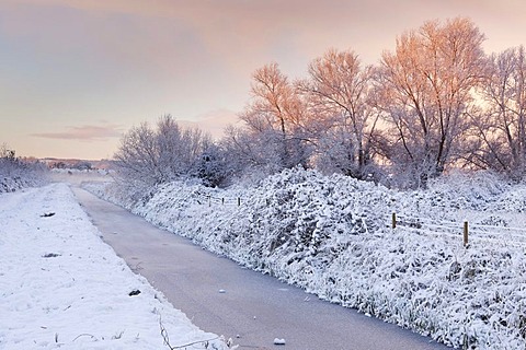 Dawn at the snowy Wembdon Rhyne, Somerset, England, United Kingdom, Europe