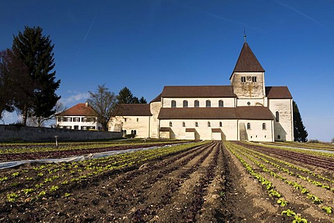 Georgskirche or church of St. George on Reichenau island, UNESCO World Heritage Site, Landkreis Konstanz county, Baden-Wuerttemberg, Germany, Europe