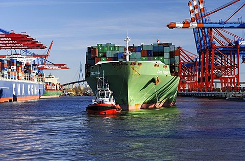 Container ship in the port, Waltershof, Hamburg, Germany, Europe