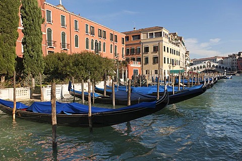 Gondolas on the Canal Grande, Rialto Bridge, Venice, Veneto, Italy, Southern Europe