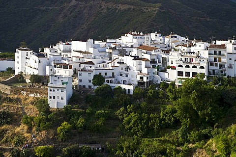 Istan, near Marbella, Costa del Sol, Andalusia, Spain, Europe