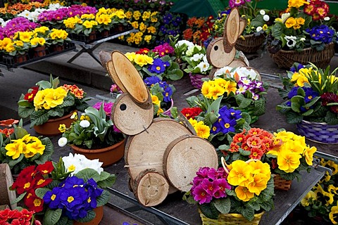 Easter bunnies made of wooden disks standing between primroses