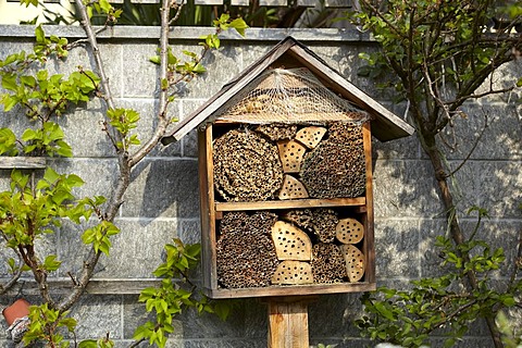 Insect nesting box, insect hotel