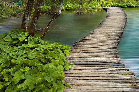 Boardwalk, Plitvice Lakes National Park, Croatia, Europe