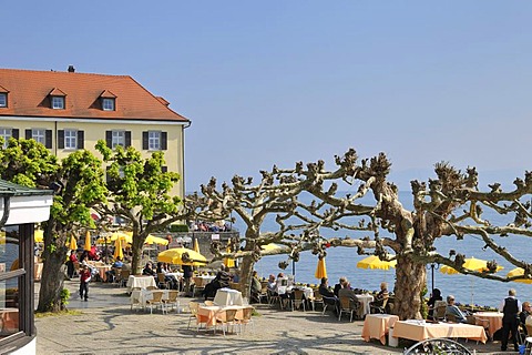 Terrace of Wilder Mann hotel and restaurant, Meersburg on Lake Constance, Baden-Wuerttemberg, Germany, Europe