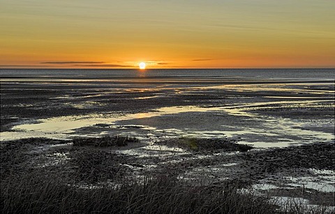 Sunrise at low tide, Collingwood, Golden Bay, South Island, New Zealand