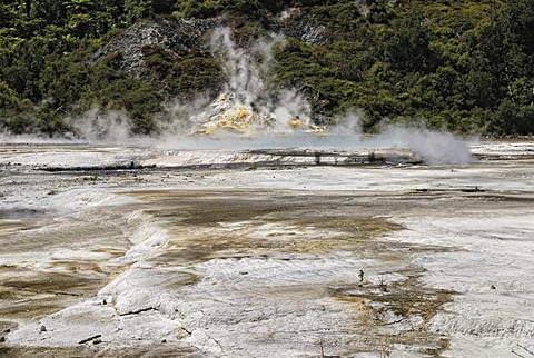 Artists Palette, Orakei Korako Cave and Thermal Park, Hidden Valley, Taupo, Rotorua, North Island, New Zealand