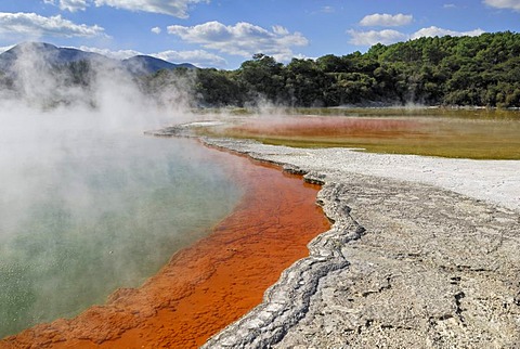 Champagne Pool, edge, coloration through antimony sulfides, Wai-O-Tapu Thermal Wonderland, Roturoa, North Island, New Zealand