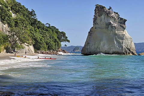 Rock in the shallow waters of the Marine Reserve Cathedral Cove, Hahei, Coromandel Peninsula, North Island, New Zealand