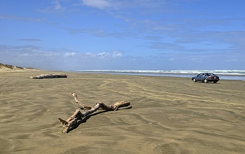 Ninety Mile Beach, passable at low tide by cars, Hukatere, North Island, New Zealand