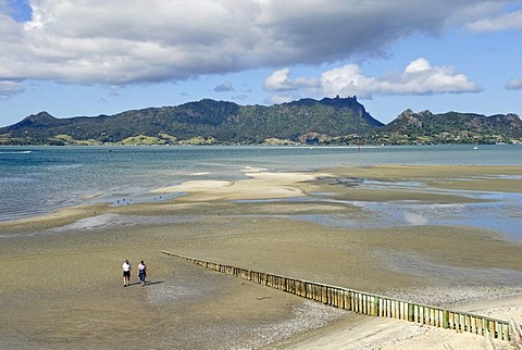 One Tree Point Beach, Whangarei Harbour, Whangarei Heads at back, Whangarei, North Island, New Zealand