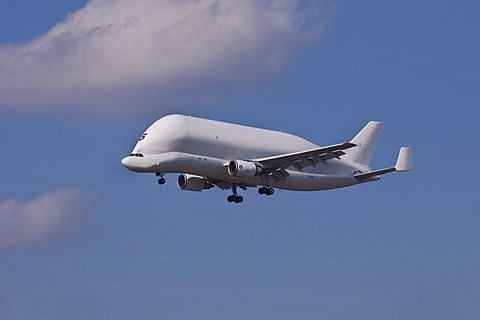 Airbus Beluga or Super Transporter Number 5 in flight