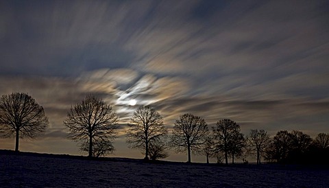 Full moon behind clouds and tree silhouettes at night, long exposure, Altheim, Baden-Wuerttemberg, Germany, Europe