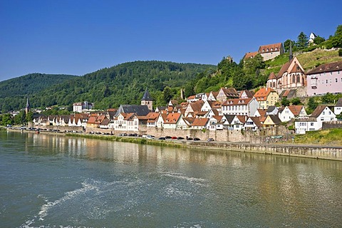 Townscape with the Neckar river, Hirschhorn, Neckartal Odenwald Nature Park, Hesse, Germany, Europe