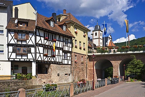 Town view with the Steinach river with the Herz-Jesu-Kirche church, Neckarsteinach, Hesse, Germany, Europe