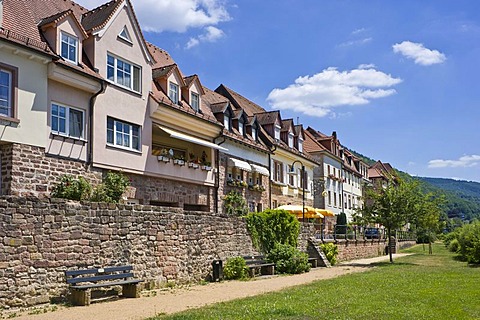 Houses on the city wall, Eberbach am Neckar, Baden-Wuerttemberg, Germany, Europe