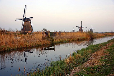 Historic windmills, UNESCO World Heritage Site, Kinderdijk, South Holland, Netherlands, Europe