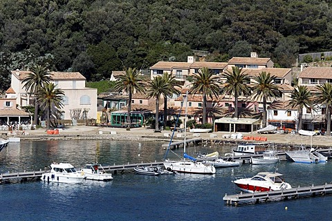 Harbour in the Port-Cros National Park, Iles d'Hyeres islands, Provence-Alpes-Cote d'Azur, France, Europe