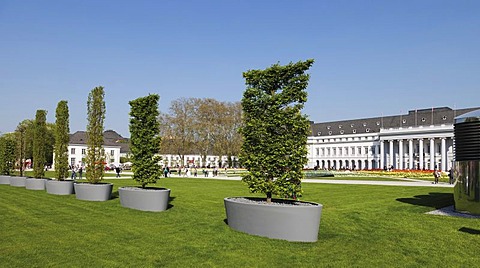 Spaliergarde, row of espalier trees in front of the Electoral Palace, Bundesgartenschau, BUGA 2011, federal garden show, Koblenz, Rhineland-Palatinate, Germany, Europe