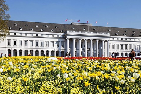 Flowerbed in front of the Electoral Palace, Bundesgartenschau, BUGA 2011, federal garden show, Koblenz, Rhineland-Palatinate, Germany, Europe