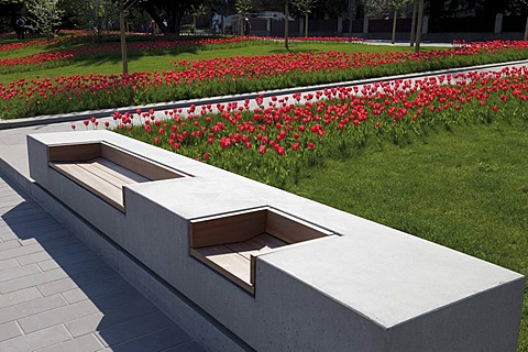 Modern bench and fields of tulips, Bundesgartenschau, BUGA 2011, federal garden show, Koblenz, Rhineland-Palatinate, Germany, Europe