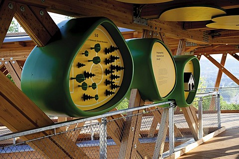 Wood viewing platform, nature trail and information boards about the diversity of wood, Festung Ehrenbreitstein fortress, Federal Horticulture Show BUGA 2011, Koblenz, Rhineland-Palatinate, Germany, Europe