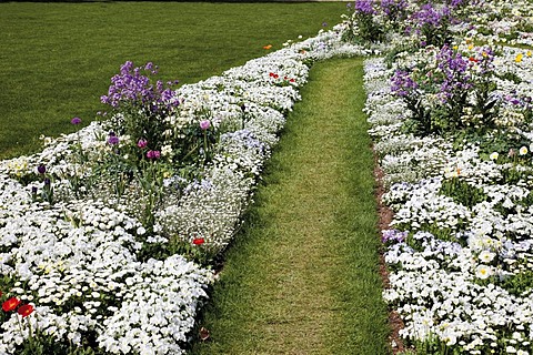 Flower beds, Bundesgartenschau, Federal Garden Show, BUGA 2011, Koblenz, Rhineland-Palatinate, Germany, Europe